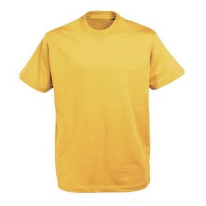 Brinsworth Manor Junior PE T-Shirt_ROCKINGHAM - Sun Flower Yellow