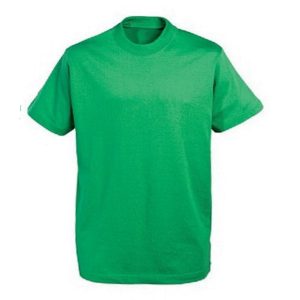 Brinsworth Manor Junior PE T-Shirt_WENTWORTH - Emerald