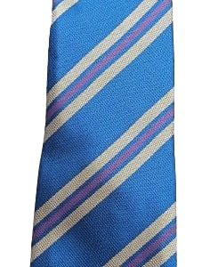 Oakwood high year 8 tie-purple