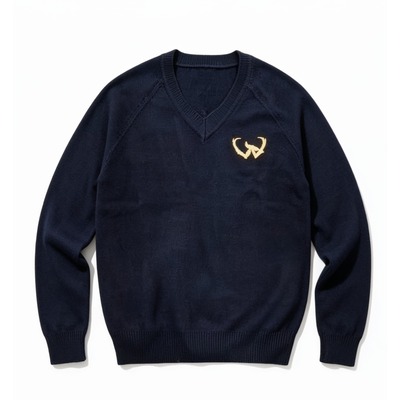 Wingfield Academy Jumper