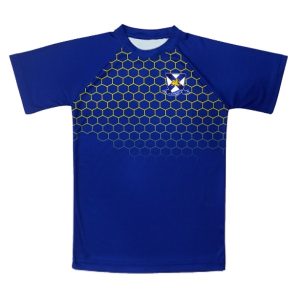 Wales High Indoor PE Top - Warenne - Royal/Gold