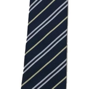 Saint Pius X school tie