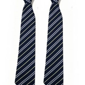 Saint Pius X school tie x2