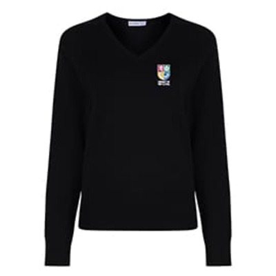 Dinnington High School jumper (Girls fit)