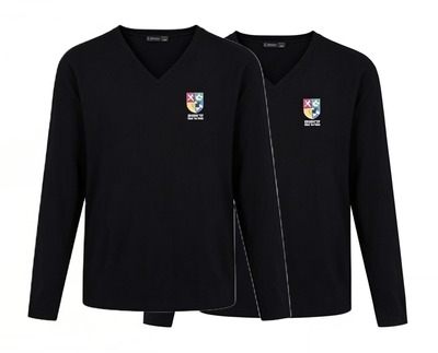 Dinnington High School jumpers x2 (Regular fit)